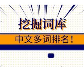 如何优化网站才能超越同行排名（站长们必须掌握的SEO技巧）