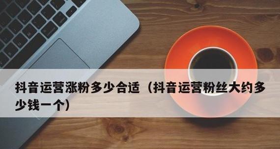 抖音粉丝增加方法大全（15种有效方法让你成为抖音大咖）