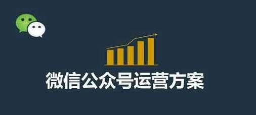 SEO网站排名优化，如何让你的网站排名上升（教你如何提高SEO排名）