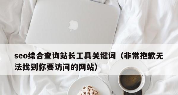 SEO分析工具的选择及应用（从初学者到专家的完整指南）