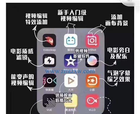 抖音的魅力——如何利用抖音吸引更多粉丝（打造个人品牌）