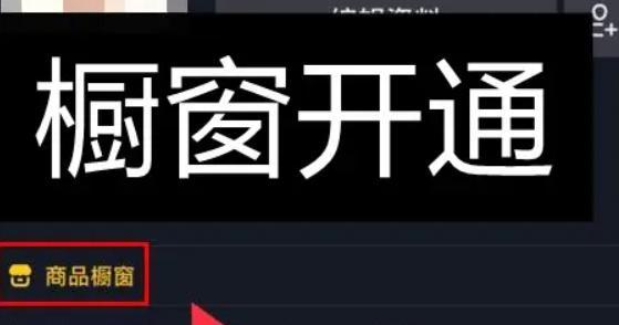 国际版抖音网络连接问题解决方法（快速有效解决没有网络连接的情况下使用国际版抖音的方法）