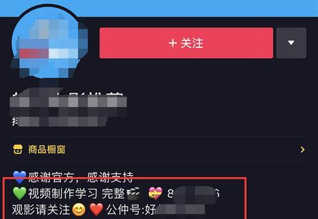 抖音二级团长模式实战指南（打造个人品牌）