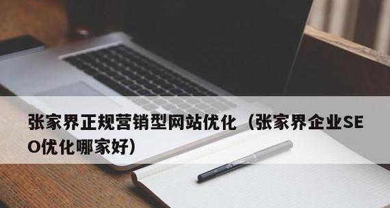 如何优化营销型网站（分享高效的网站优化策略和技巧）