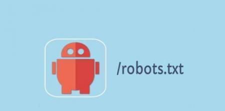 如何编写有效的Robots.txt文件（优化网站SEO的必要步骤）