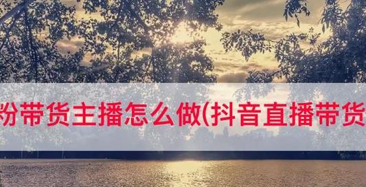 揭秘抖音主播礼物平台收多少（从收益计算到平台分成）