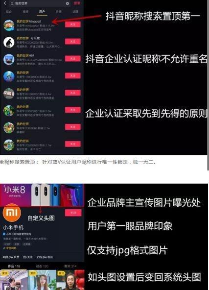 快手蓝V续费价格一览（快手蓝V续费价格详解，让你轻松续费）