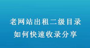 如何减少网站收录——提高SEO排名的技巧（掌握正确的SEO策略，让网站快速提升排名）